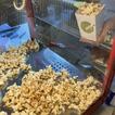 Man sieht Popcorn in der Popcornmaschine